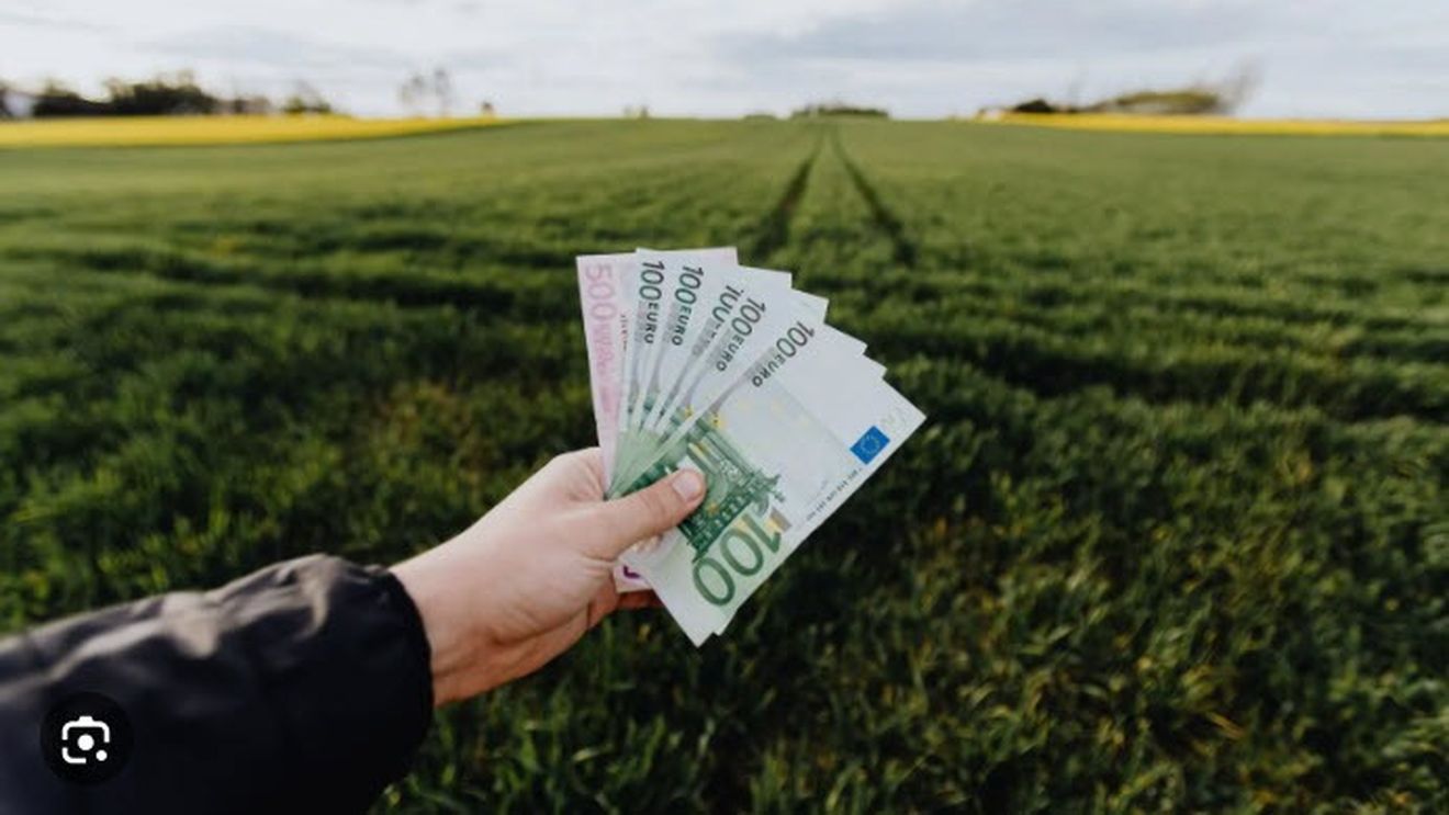 Parchetul European anunță posibile fraude de 4,3 milioane de euro. Cea mai mare parte a banilor fraudați ar proveni din Fondul European de Dezvoltare Regională, Fondul European Agricol pentru Dezvoltare Rurală și Programul Operațional Regional