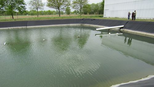 Ferma piscicolă, produce 1000 de tone de pește pe an și aprovizionează importante lanțuri de supermarketuri românești: „Am accesat mai multe proiecte pe fonduri europene. Așa ne-am asigurat dezvoltarea în acești ani, acesta a fost motorul”