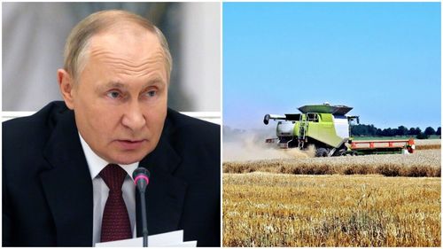 Vladimir Putin aprobă vânzarea unei companii de cereale deținute de firma Louis Dreyfus din Rusia unui cumpărător necunoscut / Compania internațională de trading și procesare alimentară LDC a încetat exporturile de cereale rusești, în urma conflictului din Ucraina