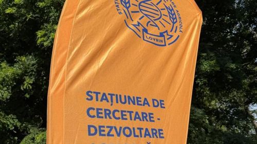 Ziua Câmpului la Stațiunea Lovrin: demonstrații cu drone agricole și peste 100 de genotipuri noi de grâu, prezentate fermierilor