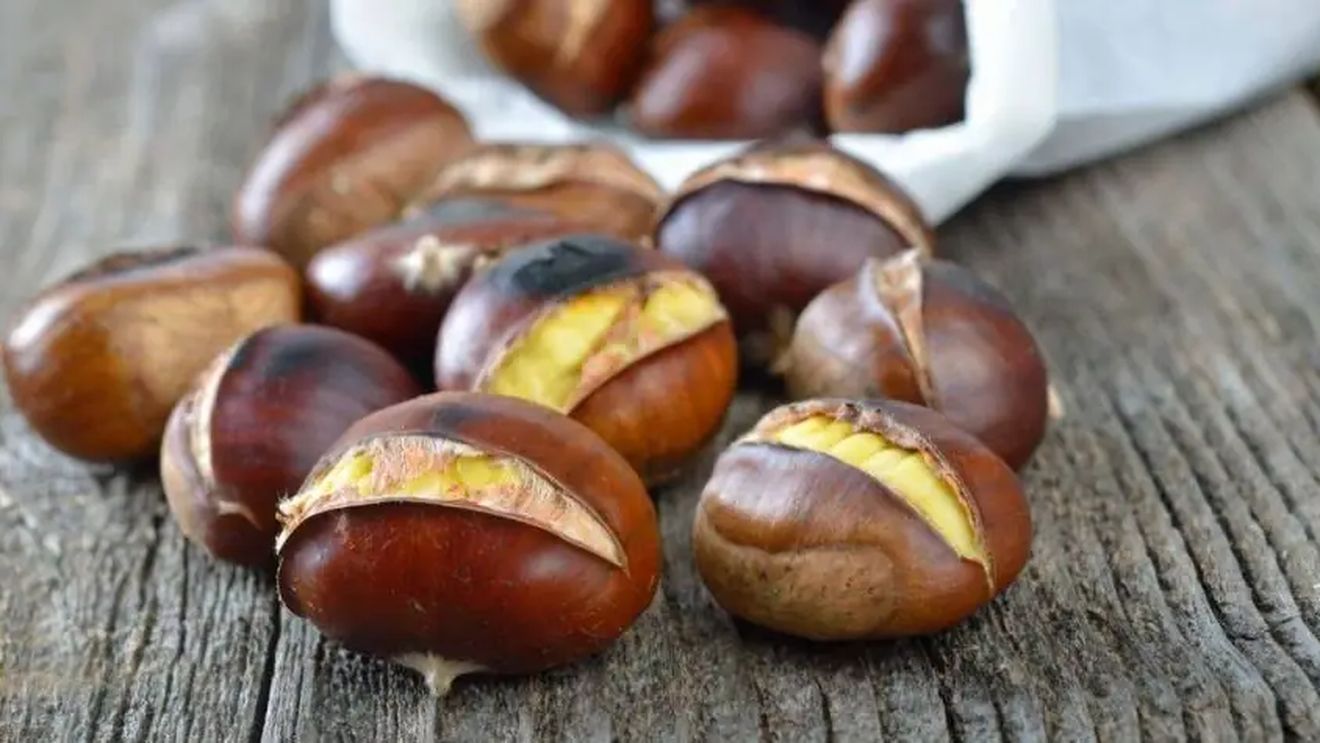 „Rivulus Dominaru", cel mai important târg economic din nord-vestul României, programat să aibă loc în perioada 19-21 septembrie la Baia Mare/ Evenimentul este inclus în programul oficial al celebrei „Sărbători a Castanelor" din Maramureș