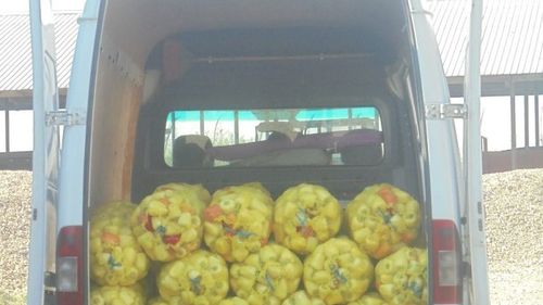 Lantulalimentar.ro în județul Ialomița: Tinerii fermieri din comuna Maia au abandonat legumicultura și s-au angajat la București