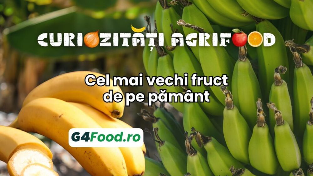 Curiozitatea agrifood - 24 iulie: Cele mai vechi fructe de pe pământ se consumă și astăzi