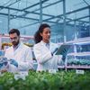 Forumul APPR salută decizia PE de aprobare a utilizării NGT. „Un nou pas pentru creșterea competitivității agriculturii europene”