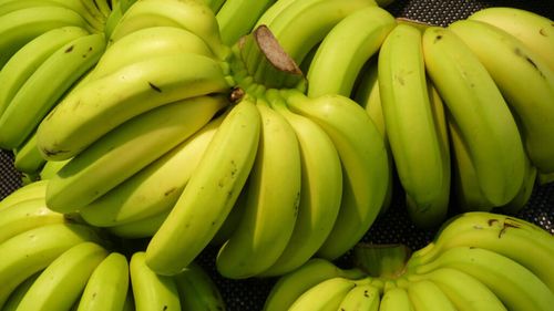 Bananele verzi nu trebuie neapărat evitate / Specialiștii spun că pot avea chiar un avantaj important pentru sănătate