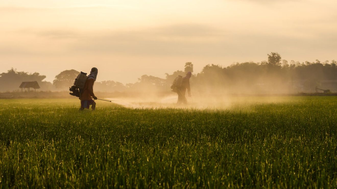 Îngrășământul viitorului? Un nou tip de fertilizant ajunge în SUA după succesul din Europa și promite să reducă costurile din agricultură