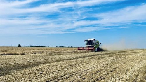 Incendiile de vegetație cu care statele europene se confruntă în fiecare vară afectează producția agricolă / Normele privind condițiile de recoltare în zonele cu risc extrem de incendii pun mari probleme fermierilor