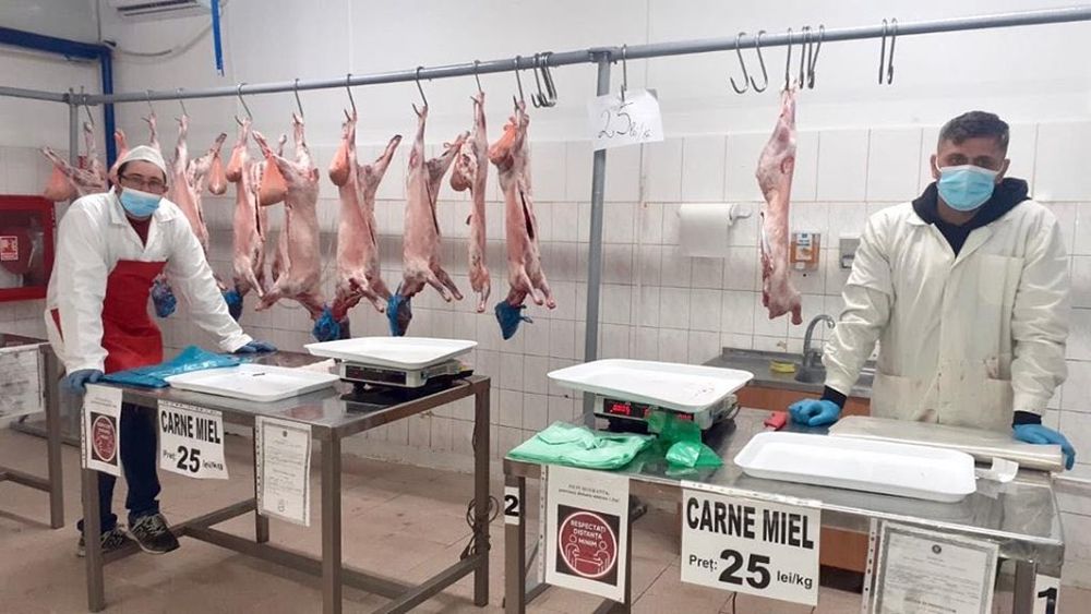 Mielul românesc, ultima speranță a grecilor pentru masa de Paște. Comerțul cu animale, între salvare economică și risc sanitar