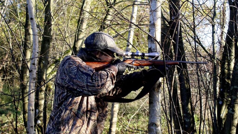 Zeci de trofee de vânat, peste 100 kg de carne şi arme, ridicate în Ialomița, în urma unor percheziţii la braconieri