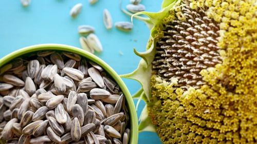 România a vândut cel mai mult, Bulgaria a încasat cel mai bine! Cele două țări domină net exporturile europene de semințe de floarea soarelui pe piețele din afara UE