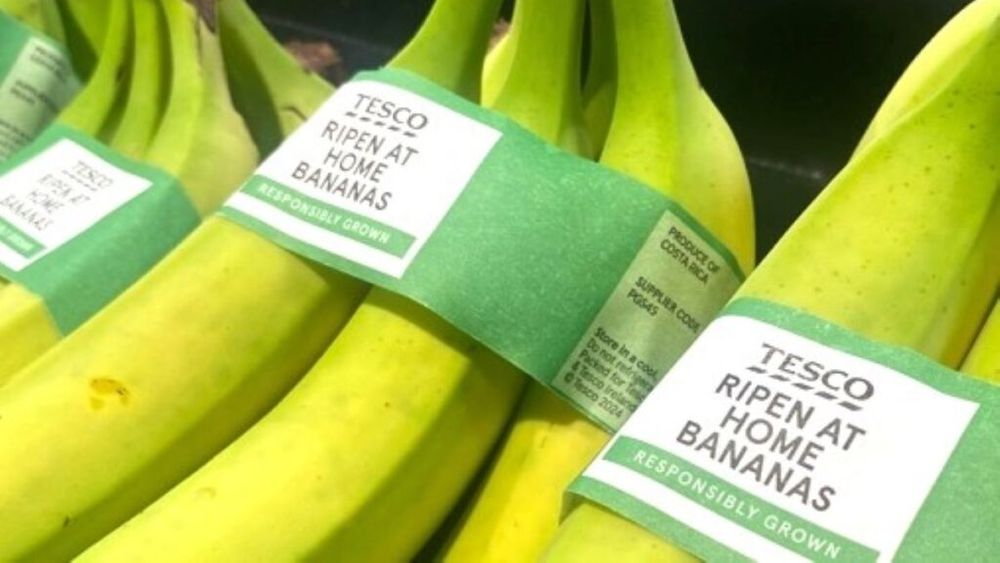 Un mare retailer din UK vinde banane necoapte, pentru a reduce risipa alimentară la domiciliu