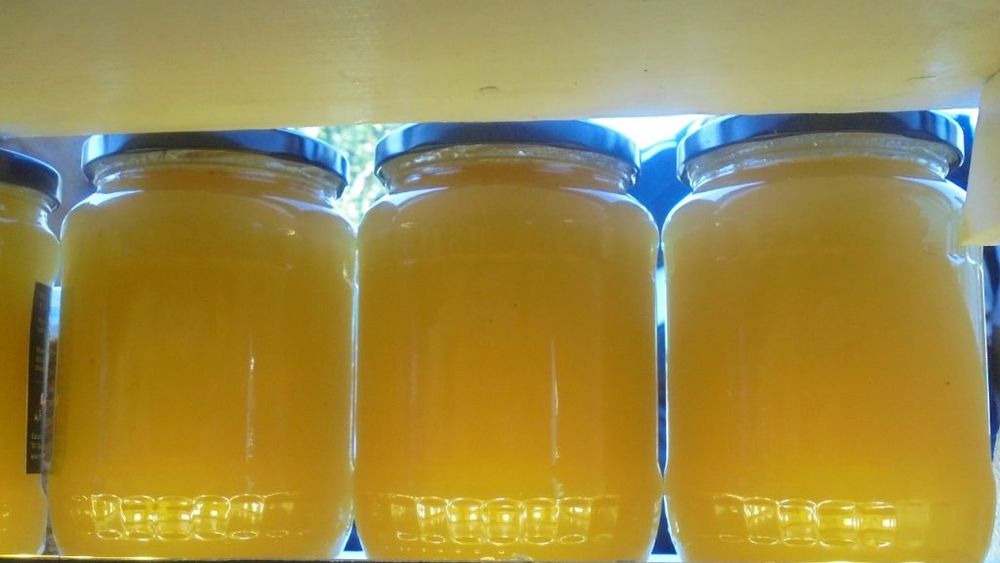 Extremele apiculturii din România: cea mai mare cantitate de miere din Uniunea Europeană, dar prețul de livrare este al doilea cel mai mic la nivel comunitar