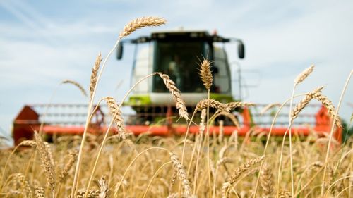 Suedia își activează planul de depozitare de urgență a cerealelor din cauza amenințării rusești