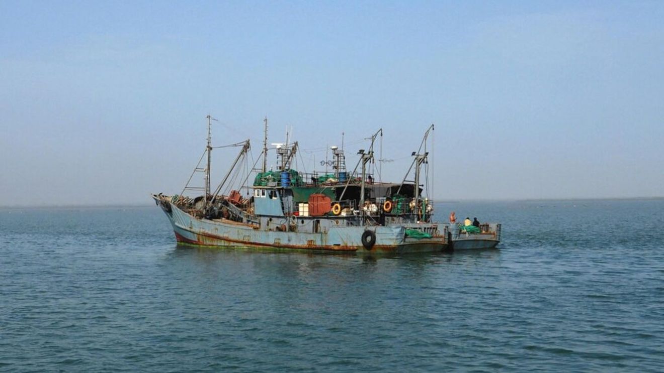 Peste 300 kilograme de calcan și 21 de kilograme de vulpe de mare pescuite ilegal, decoperite pe mare în zona Costineşti