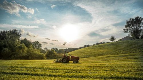 Creșterea preţurilor la îngrăşăminte pune presiune pe fermieri: APPR cere reluarea producției interne