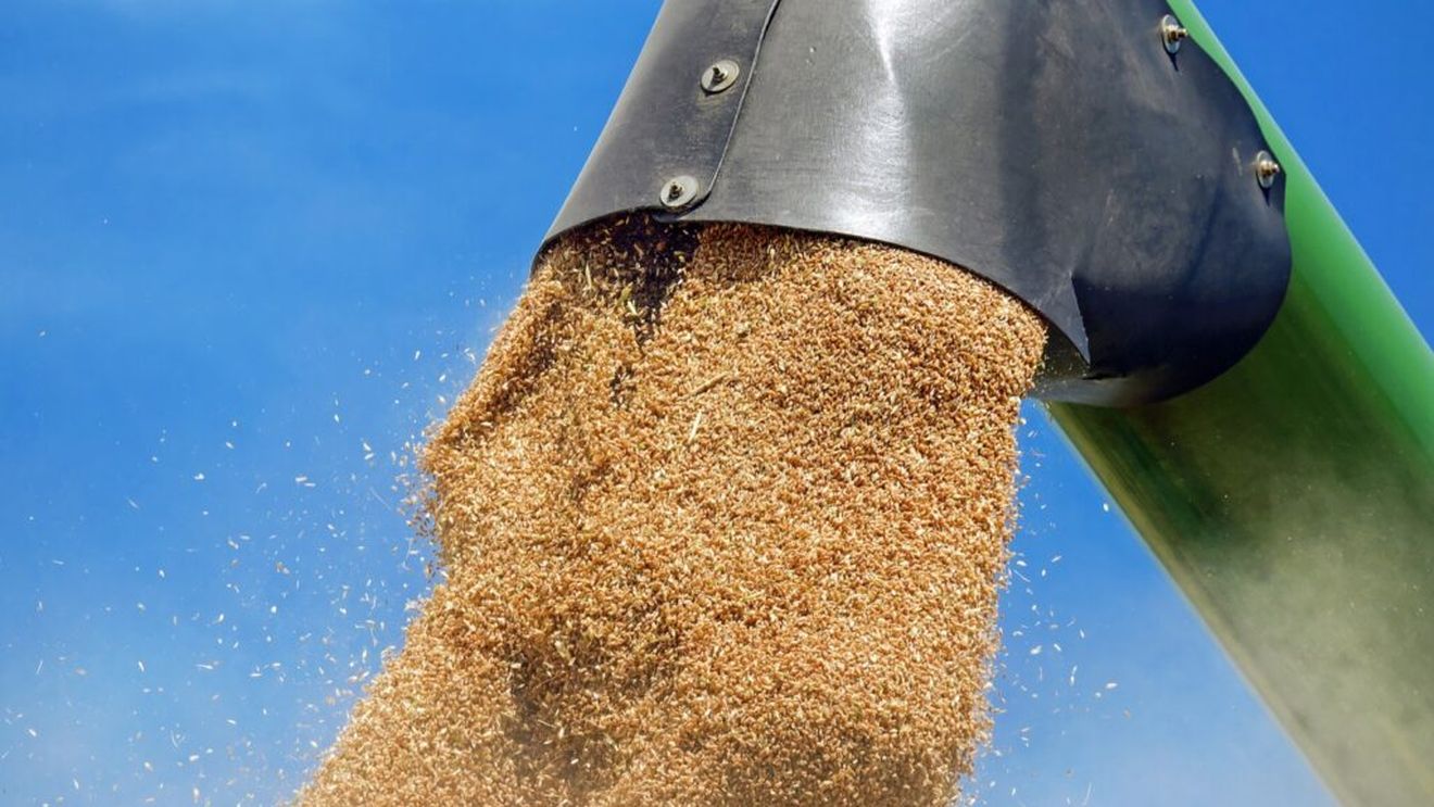 Ucraina va opri exporturile de grâu dacă livrările vor depăşi 16,2 milioane de tone, limită convenită cu traderii şi producătorii pentru întregul sezon 2024/2025