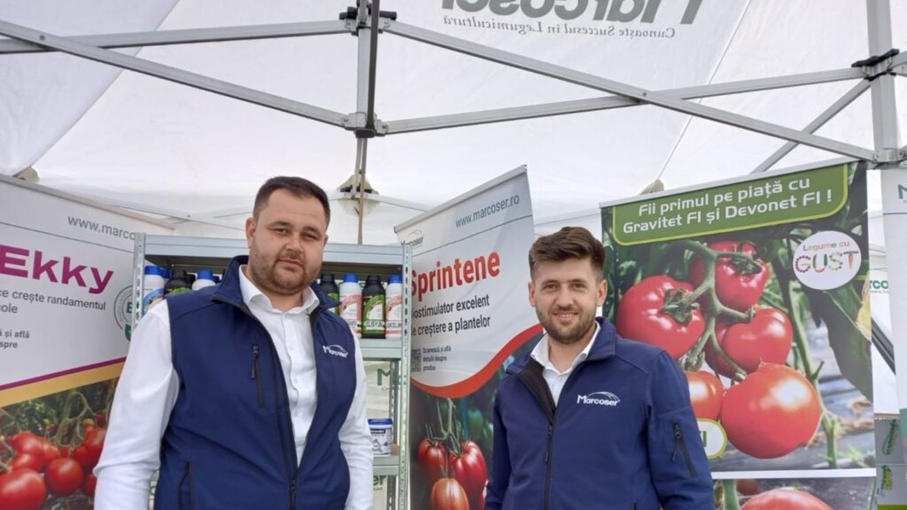 Hibrizi cu rezistențe genetice: Mai puține tratamente, mai mult profit pentru fermieri /„Nu vorbim doar din teorie, noi știm cum reacționează plantele, pentru că le-am cultivat chiar noi”