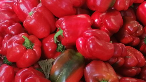 Camioanele care transportau ardei din Maroc erau de fapt ascunzătoare pentru droguri/ Poliţia spaniolă a confiscat 20 de tone de canabis strecurate între legume