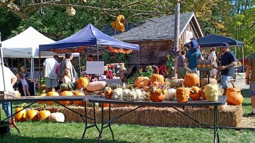 Canada, un Halloween fără strălucire / Seceta și valurile de căldură din 2025 au redus drastic producția de dovleci / 70% din terenurile agricole, lipsă acută de apă!