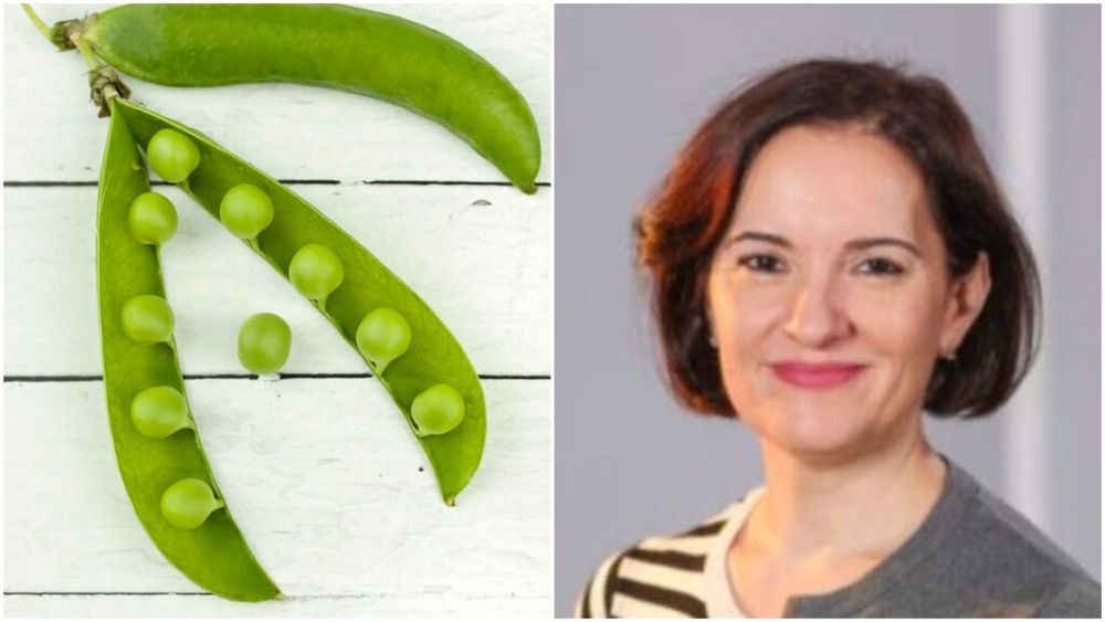 Despre mazăre, numai de bine/ Nutriționistul Tania Fântână ne recomandă această proteină vegetală care susține masa musculară și oferă sațietate