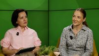 VIDEO | Fântâna de sănătate | Dr. Angelica Banu, chirurg estetician: „Le recomand tuturor pacienților mei ca, înainte cu o lună de intervenție, să renunțe la alimentele ultraprocesate și să consume fructe, legume și proteine de bună calitate”