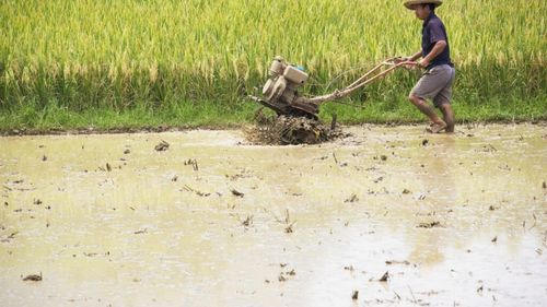 Legea securității alimentare a Chinei intră în vigoare / Cel mai mare importator de produse agricole din lume țintește autosuficiența absolută