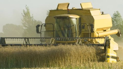 Începând din iunie, UE vrea să reducă importurile de produse agricole din Ucraina / Atunci va expira actualul acord comercial cu Kievul