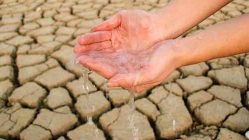 Europa caută soluții naturale pentru gestionarea apei / Apelul făcut de preşedinta Comitetului European al Regiunilor, Tüttő Kata, în Harghita / „Avem semnale foarte puternice că trebuie să găsim soluţii, atât pentru agricultură, cât şi pentru natură”