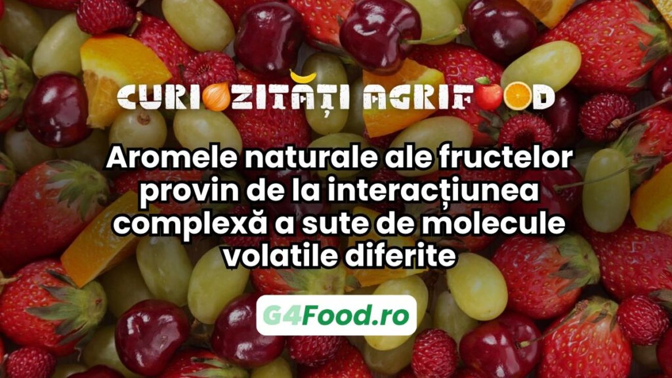 Curiozitate agri-food: Aroma fructelor provine de la interacțiunea complexă a sute de molecule volatile diferite / De ce fructele și legumele din supermarket nu mai miros „ca pe vremuri”