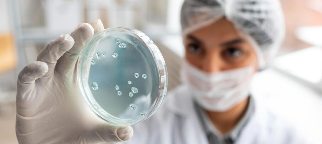 Noi controverse în jurul Giulgiului din Torino. Analizele ADN indică urme de plante ajunse în Europa abia după descoperirea Americii / Au mai fost găsite urme de la pui, bovine, capre, oi, porci, cai, căprioare, iepuri și pești