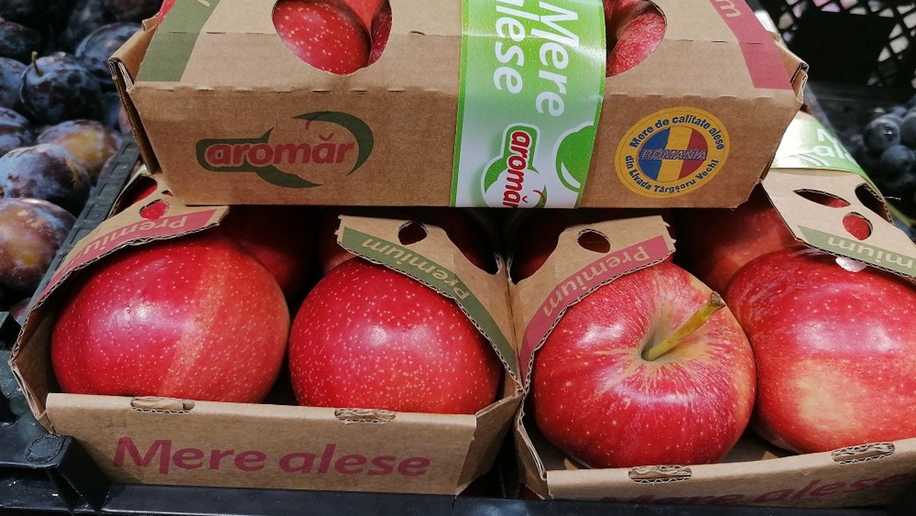 AJUTORUL DE STAT DE 100.000 EURO/300.000 EURO PENTRU FERMIERI: ministerul Agriculturii trebuie mai întâi să notifice Comisia Europeană