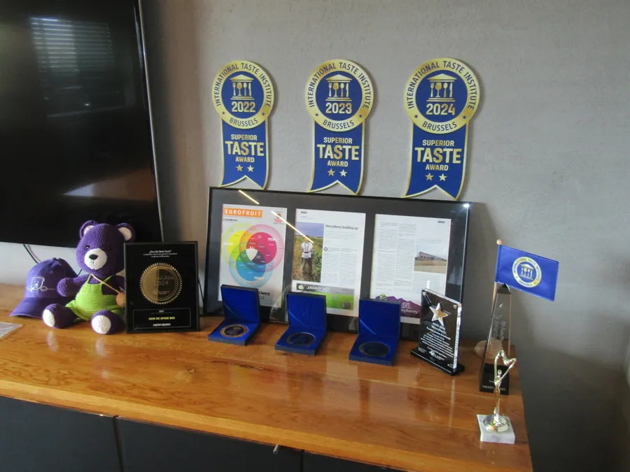 Certificări Merry Berry