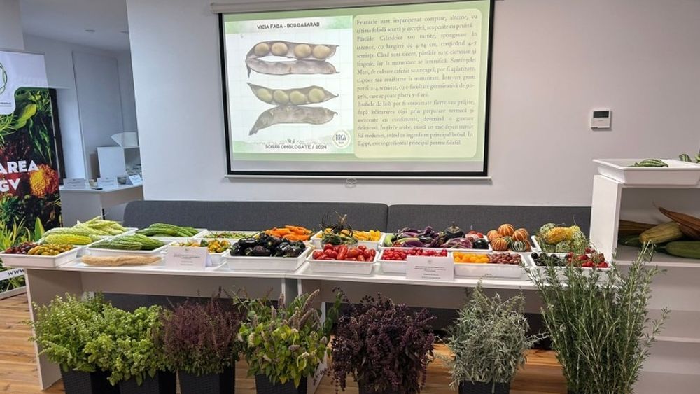 Șase medalii de aur, obținute de cercetătorii de la Buzău pentru noi soiuri de ceapă, tomate și busuioc: „Au fost omologate şi înscrise în catalog oficial naţional şi european”