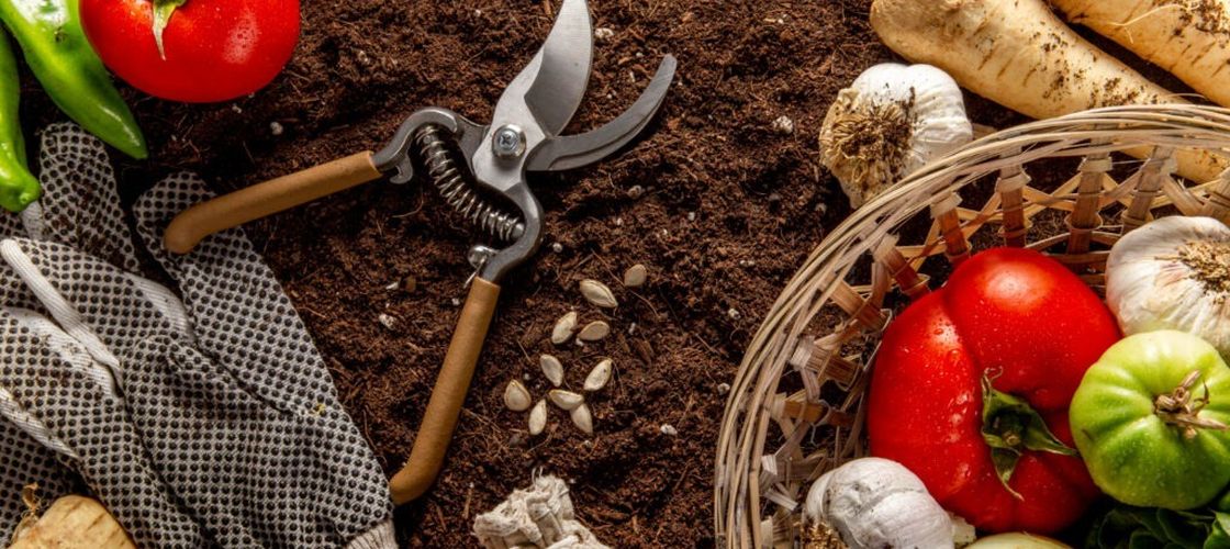 Târg gastronomic în zona Casei Presei Libere: peste 70 de producători aduc produse tradiționale „sigur și gustos”