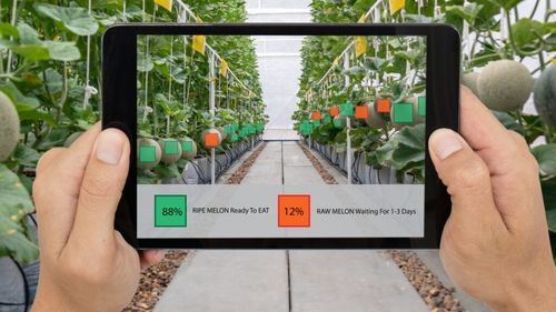 Inovație românească premiată / Un dispozitiv inteligent care protejează culturile agricole a câștigat premiul Best Tech Idea / Soluția a fost dezvoltată de studenți din București