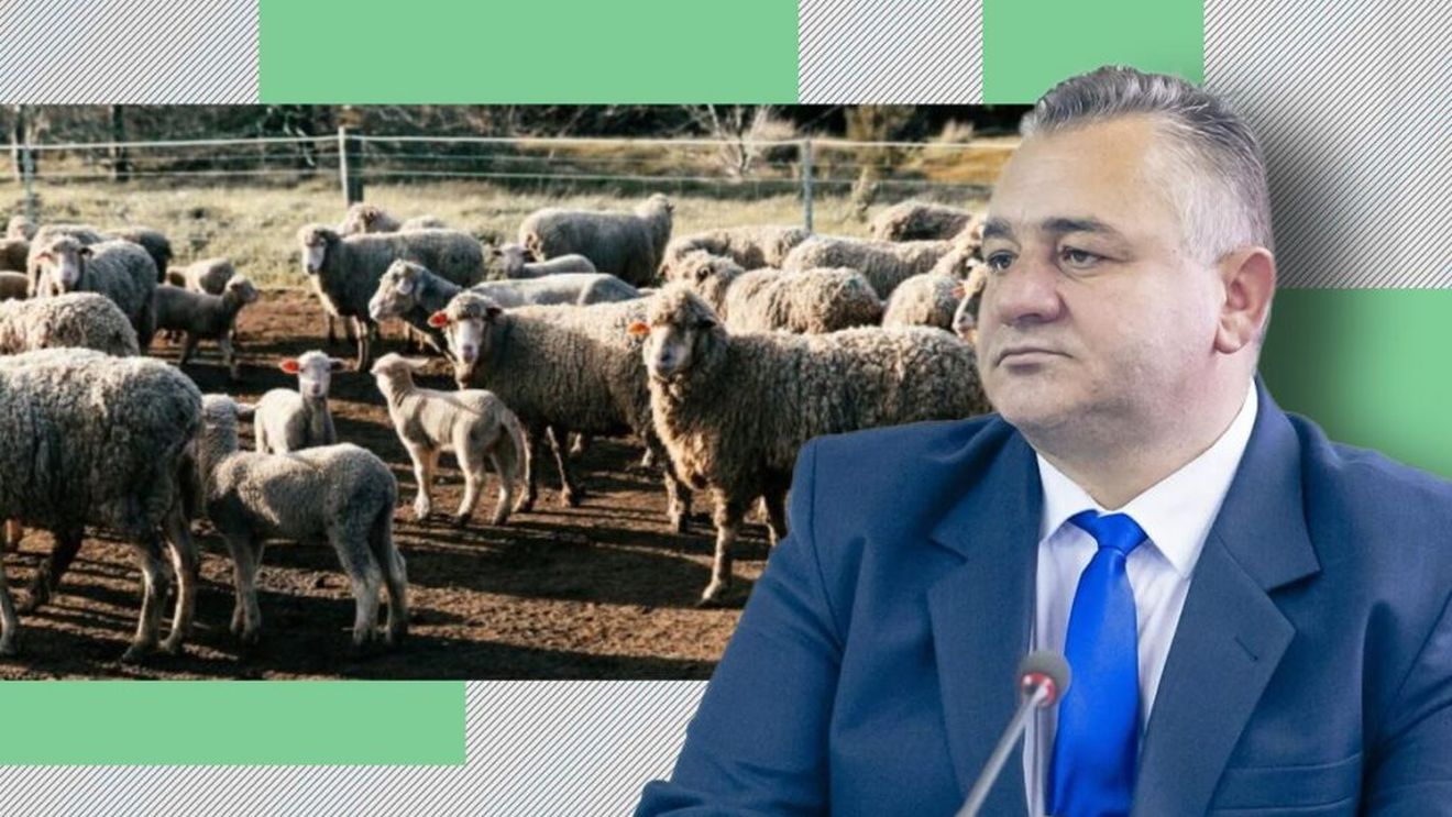 Va fi mielul de pe masa de Paște mai scump decât anul trecut? Horia Moruţan (președinte Asociația Crescătorilor de Ovine, Alba): Așa ar fi logic, dar nu cred. Degeaba crești prețul dacă nu are cum plăti cumpărătorul