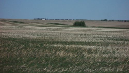 Clima Spaniei ar putea trece de la cea mediteraneană la cea de stepă până în 2050, pe fondul încălzirii globale. Spania este printre principalii producători agricoli europeni. Adaptarea la schimbările climatice în ultimii ani este dificilă