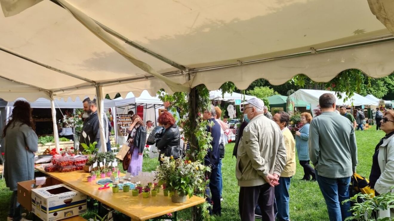 Zilele Horticulturii Clujene: Vizitatorii vor putea afla soluții inovative pentru îngrijirea plantelor / Atelier de stilizare a bonsailor, demonstraţii de altoire și prezentări de mașini și tehnologii