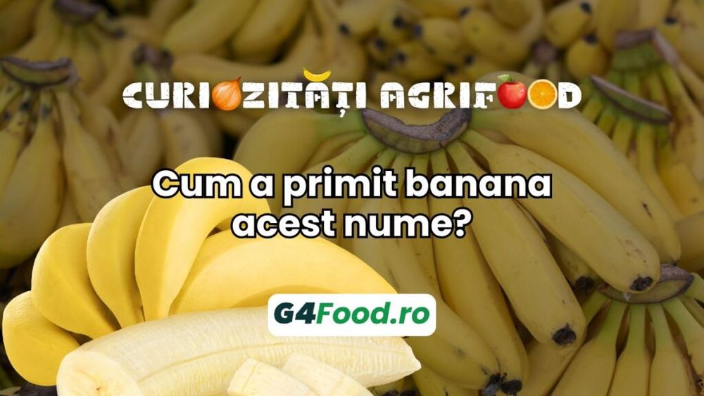 Curiozități agrifood - 12 august: Cum a primit banana acest nume