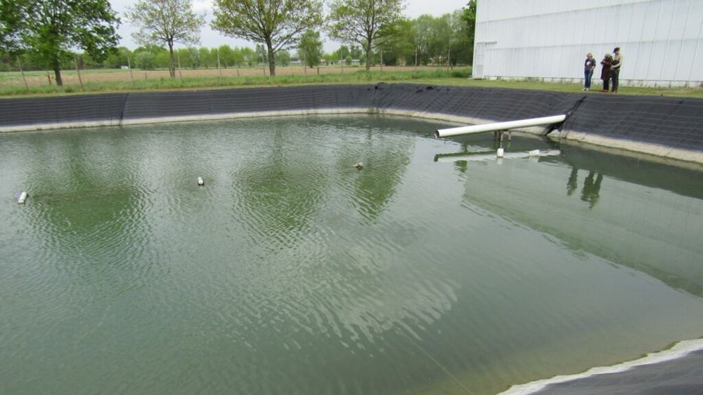 Fermele piscicole pot fi și ferme horticole. Și reciproc! / În mai multe ferme piscicole din Italia, Elveția, dar și SUA, piscicultorii au avut ideea de a folosi apa și pentru a practica agricultura în sistem hidroponic