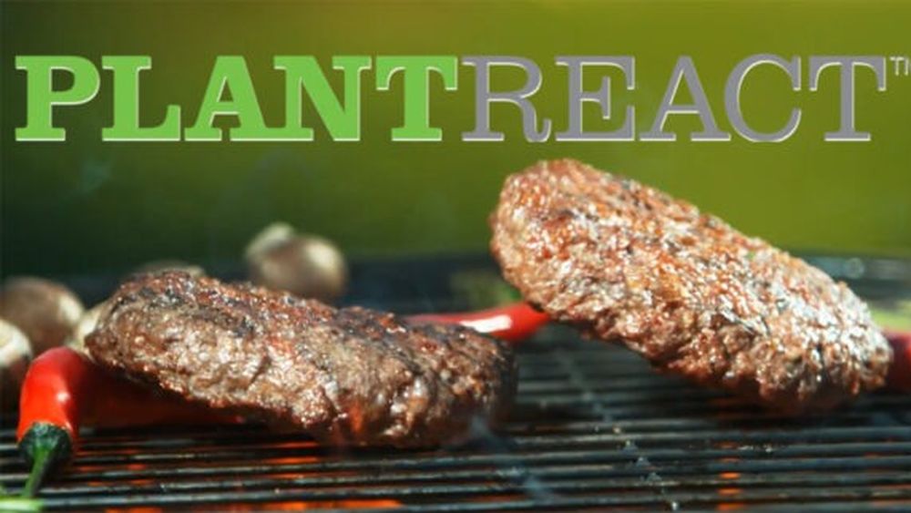 A fost lansat Plantreact, aroma cu gust de carne, pentru a revoluționa gustul produselor pe bază de carne/ Produsul utilizează fermentarea și alte tehnici avansate de aromă