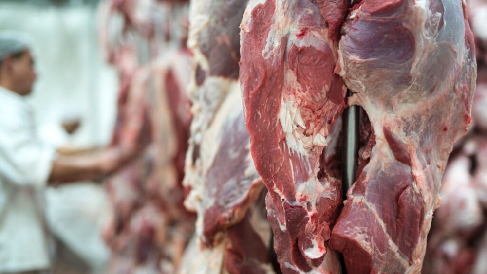 Dana Tănase (ARC): 2025 a fost un an dificil pentru procesatorii de carne / Rezultatele financiare vor fi influenţate de toată pleiada de taxe