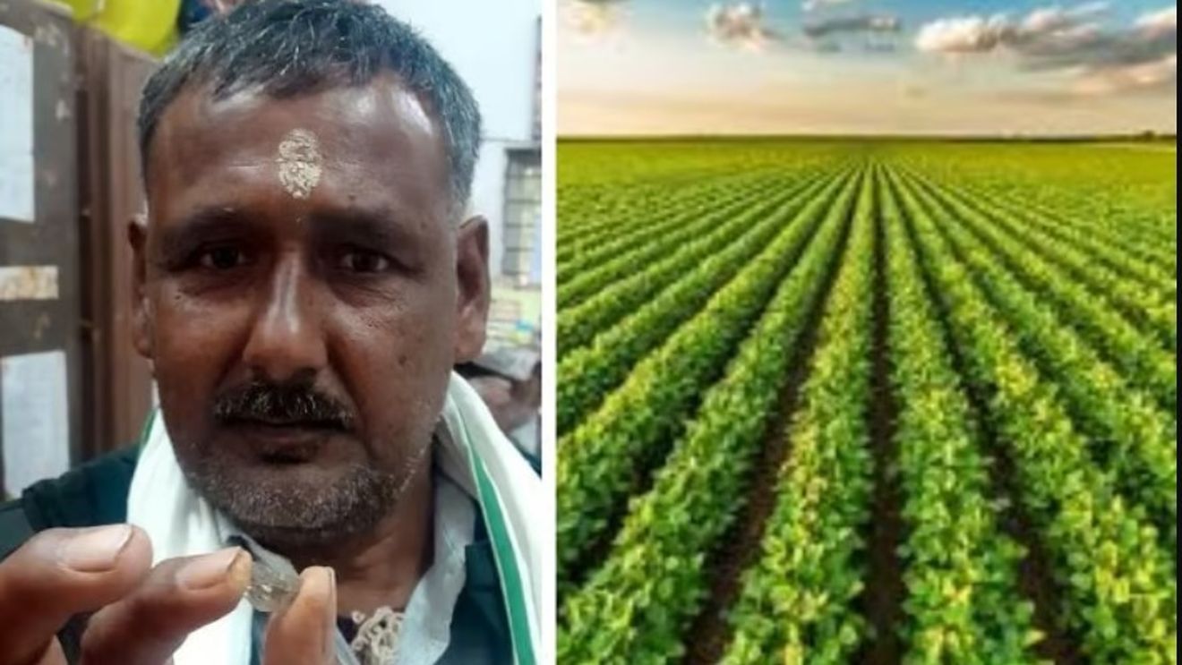 Un fermier sărac din India care-și săpa terenul a găsit două diamante! / Valoarea acestora se ridică la aproape 50.000$ / Ce va face fermierul cu banii