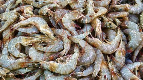 Creveţi vânduţi în Statele Unite de Walmart, retraşi de pe piaţă din cauză că ar putea fi radioactivi/ Autorităţile vamale au descoperit cesiu într-o încărcătură de import din Indonezia