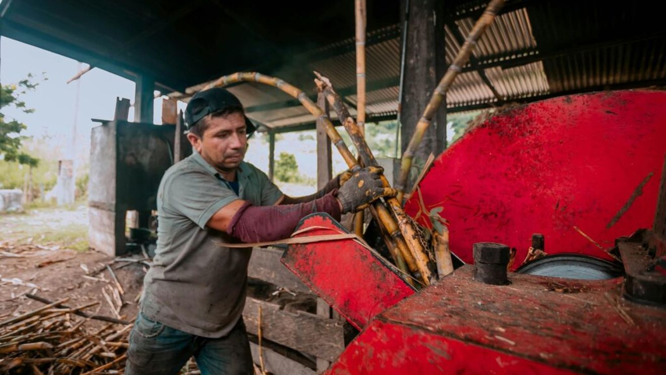 Util(aj) în ferma ta: Tocătorul de crengi, ajutorul indispensabil pentru o grădină bine îngrijită / Este foarte bun pentru pregătirea compostului