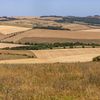 Noi scumpiri la alimente în Europa, după ce canicula a lovit recoltele. România este una dintre puținele excepții