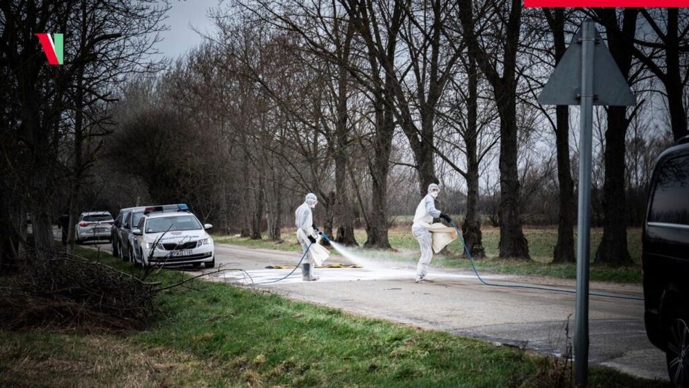 Europa se confruntă cu „cea mai gravă epidemie de febră aftoasă de la începutul secolului”, prin urmare sunt necesare „măsuri urgente” pentru diagnosticarea şi prevenirea timpurie a acesteia, precum şi pentru a-i minimiza impactul, avertizează ONU