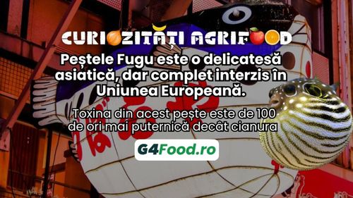 Curiozități agrifood - 9 octombrie: Peștele Fugu este o delicatesă asiatică, dar complet interzis în Uniunea Europeană. Toxina din acest pește este de 100 de ori mai puternică decât cianura