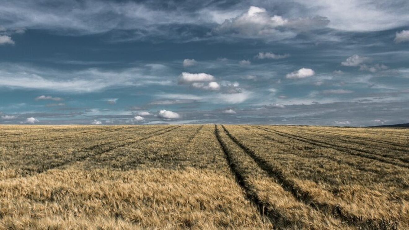 Tamás Vincze, CEO East Grain, care a cumpărat recent Maragro: Avem în vedere și alte tranzacții în viitorul apropiat și ne focusăm pe piețele din România și Serbia