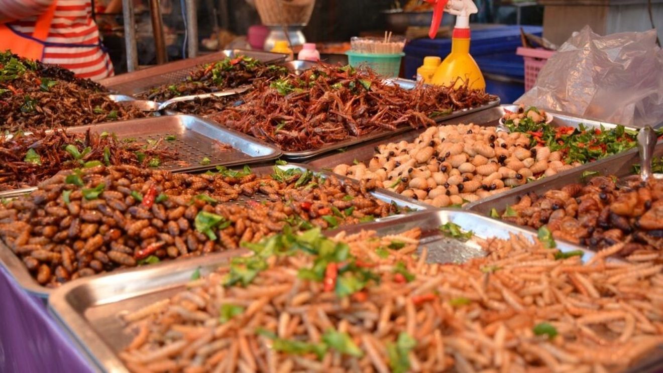 Insectele ca alimente de zi cu zi: Iată unde poți găsi la tot pasul Chapulines (lăcuste) și unde ouăle de furnică sunt o delicatesă